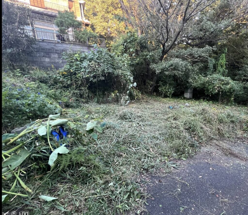 茅ヶ崎市 山林 94㎡